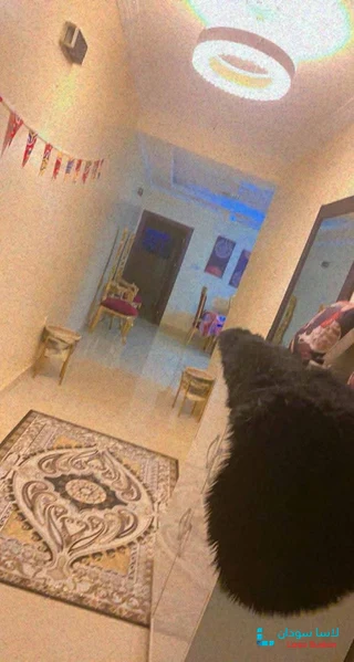 للبيع شقة بشرق النيل حي الجامعة مربع_5 preview 4