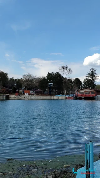 للبييع شقه مربع 87  المعمورة (حسن زيدان)   قريبه جدا من شارع الستين