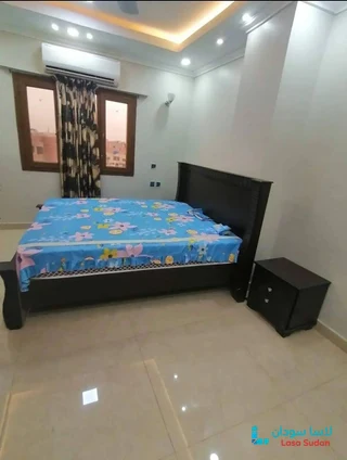 للإيجار شقق مفروشة ديلوكس شارع الستين preview 9