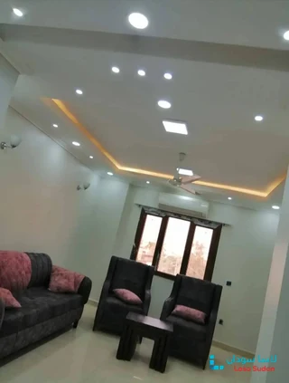 للإيجار شقق مفروشة ديلوكس شارع الستين preview 7