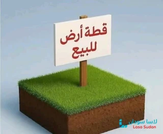 للبيع قطعه مميزه جدا جدا  حي النصر《 مربع 42 》