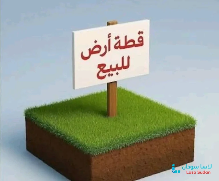 للبيع قطعه مميزه جدا جدا حي النصر《 مربع 42 》