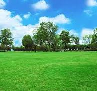 للبيع قطعة أرض بسعر مميز بكافوري