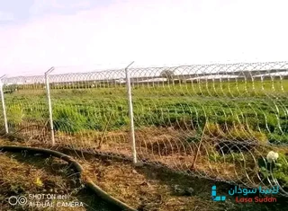ورشة الأمان الهندسية للأسلاك الشائكة والأمواس تسوير منازل_مزارع_مصانع 0962883871 //0100926247 preview 13