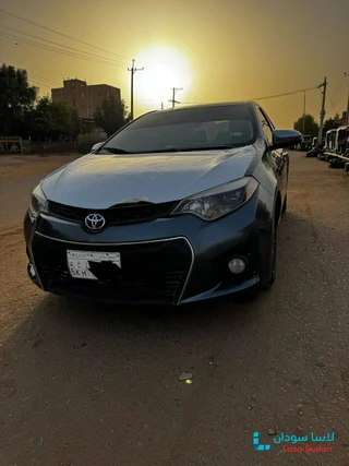 للبيع كوريلا 2015 preview 5