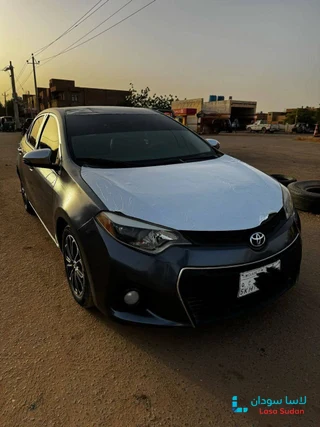 للبيع كوريلا 2015 preview 7