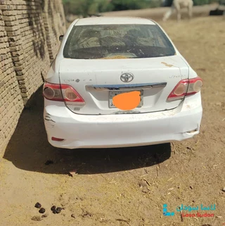 للبيع كوريلا 2008 preview 2