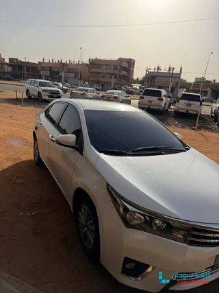 للبيع كوريلا 2015 preview 5