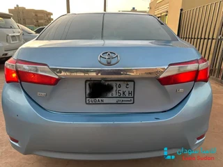 للبيع كوريلا 2015