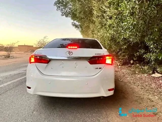 للبيع كوريلا 2016