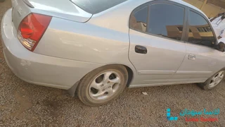 افانتي سحلية 2005