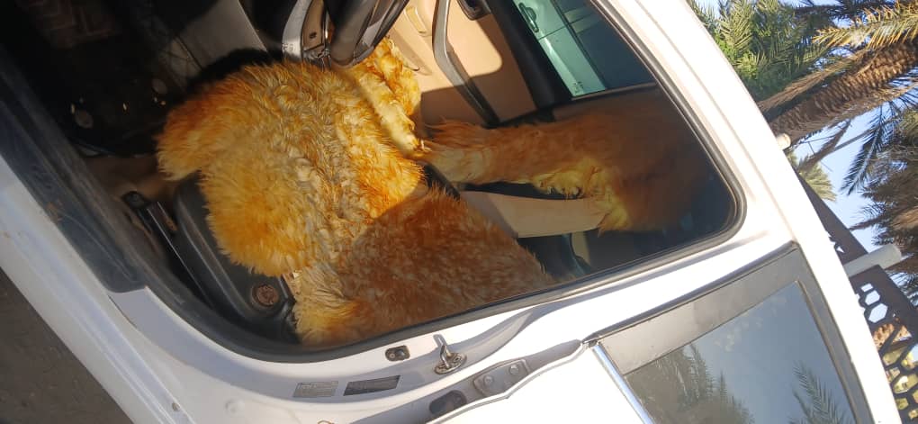 مضلع موديل 2013 preview 9